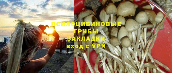 стафф Переславль-Залесский