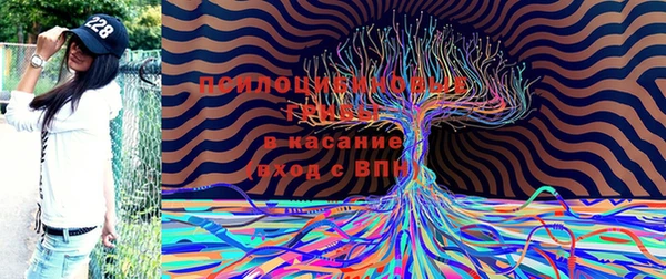стафф Переславль-Залесский