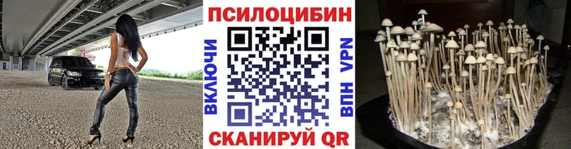 Псилоцибиновые грибы мухоморы  мега ONION  Торопец  купить  цена 