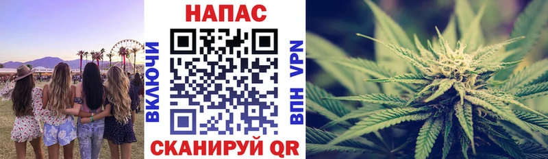 Бошки Шишки семена  Торопец 